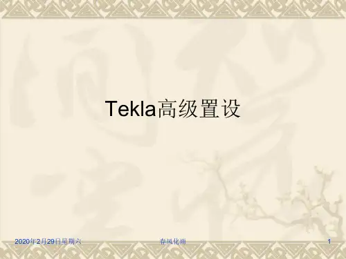 Tekla高级置设
