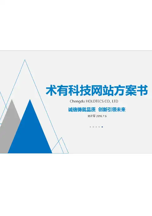 公司网站建设方案详细方案 2