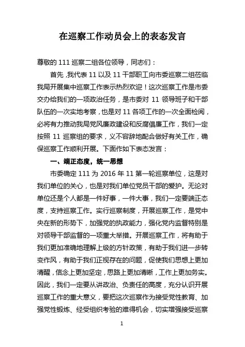 在巡察巡视工作动员会上的表态发言