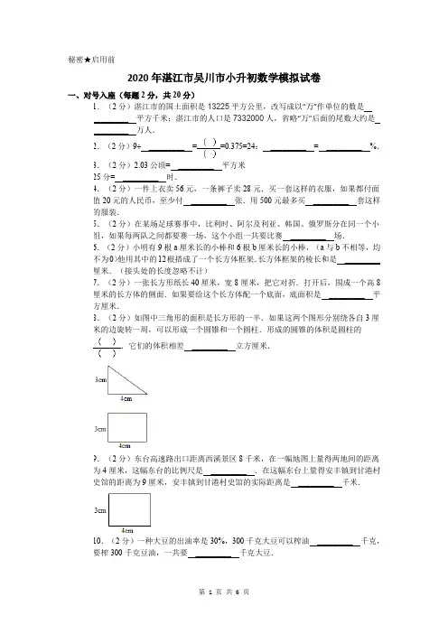 2020年湛江市吴川市小升初数学模拟试卷及答案
