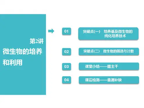 高考生物一轮复习课件：选修1第2讲微生物的培养和利用