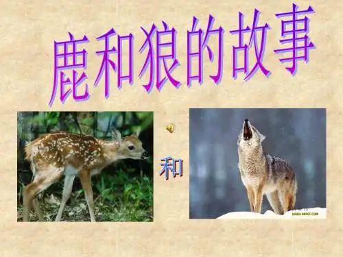 14.鹿和狼的故事课件