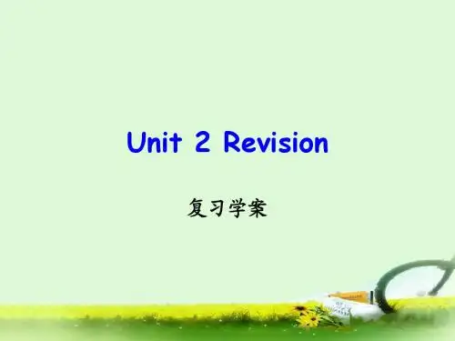 鲁教版七年级上英语Unit2It's raining复习学案ppt版