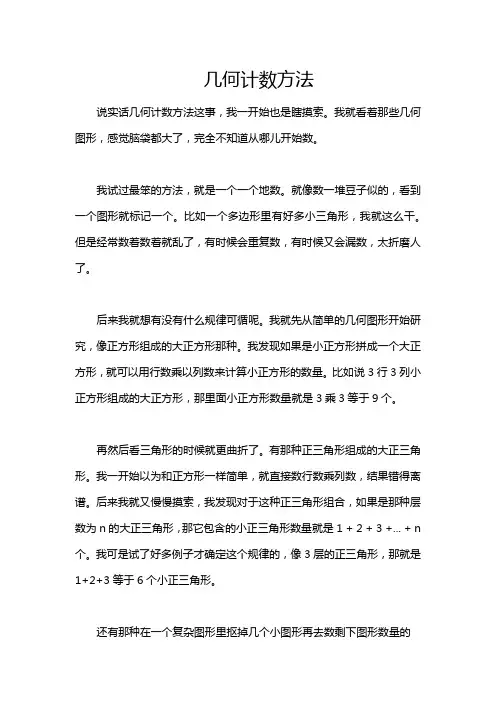 几何计数方法
