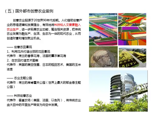 都市创意农业案例