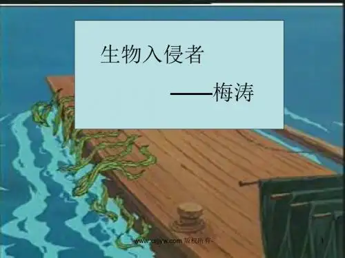2015-2016人教版语文八年级上册第四单元课件：第19课《生物入侵者》