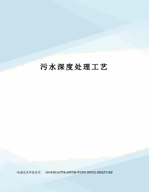 污水深度处理工艺
