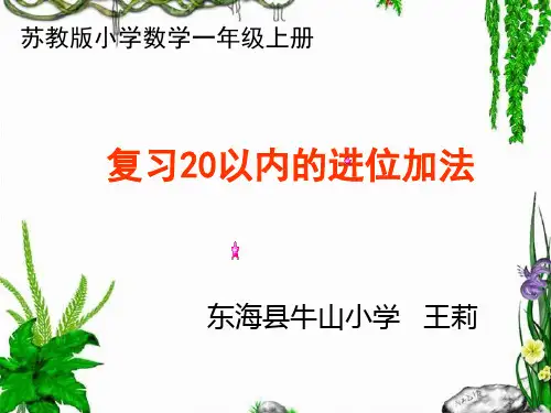 20以内进位加法复习课课件