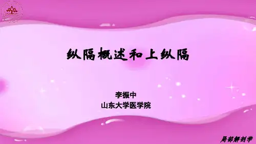 7.纵隔概述和上纵隔教程