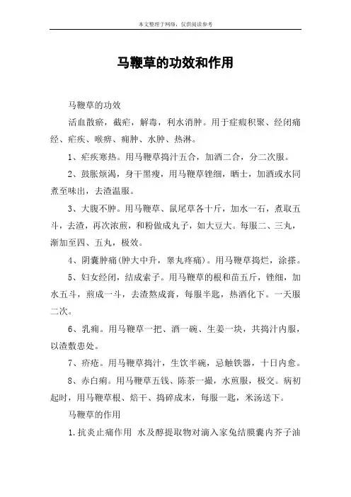 马鞭草的功效和作用