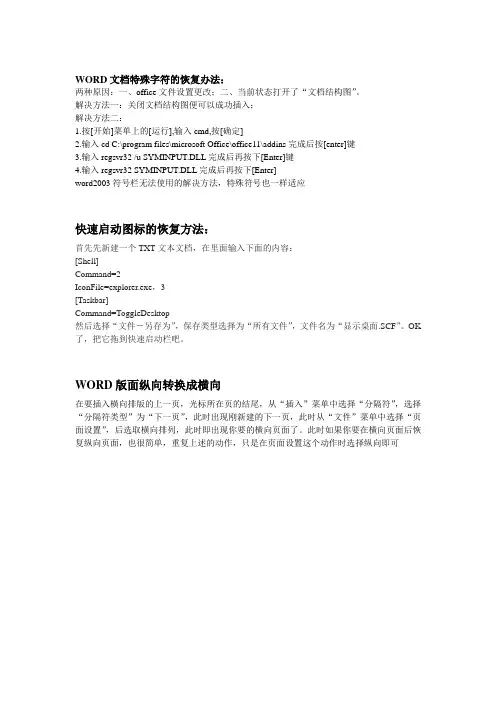 WORD特殊字符解决办法