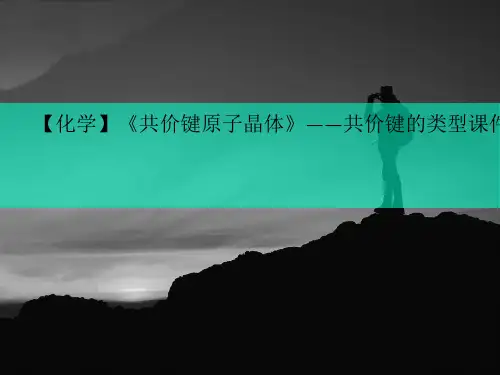 【化学】《共价键原子晶体》——共价键的类型课件(苏讲义教版选修)