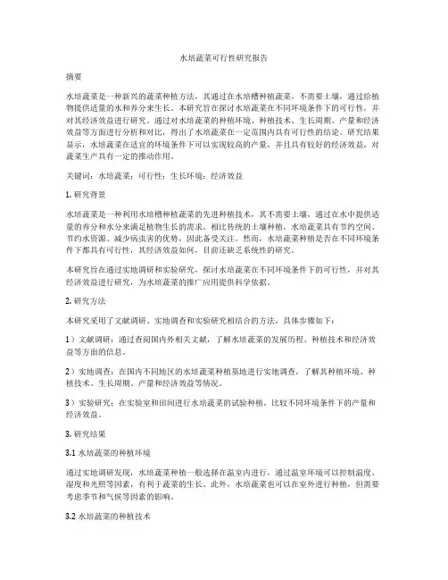 水培蔬菜可行性研究报告