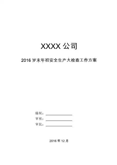 岁末年初安全生产大检查工作方案