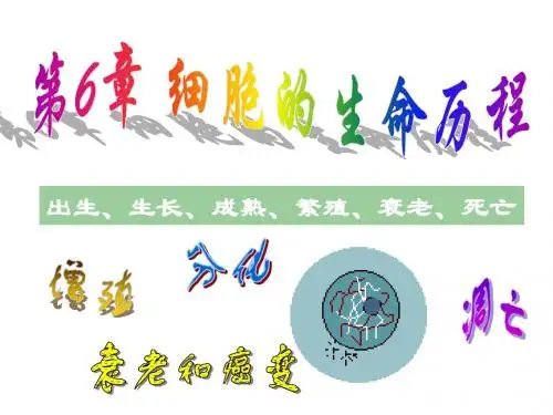 生物：6.1《细胞的增殖》课件(新人教版必修1)高一
