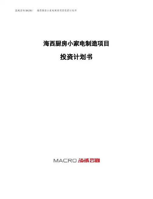 海西厨房小家电制造项目投资计划书