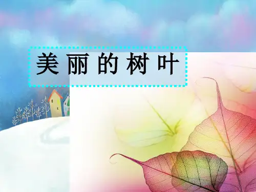 儿童线描画树叶