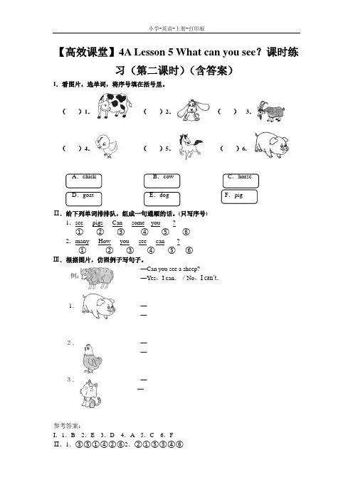 科普版-英语-四年级上册-4A Lesson 5 What can you see？课时练习(第二课时)(含答案)