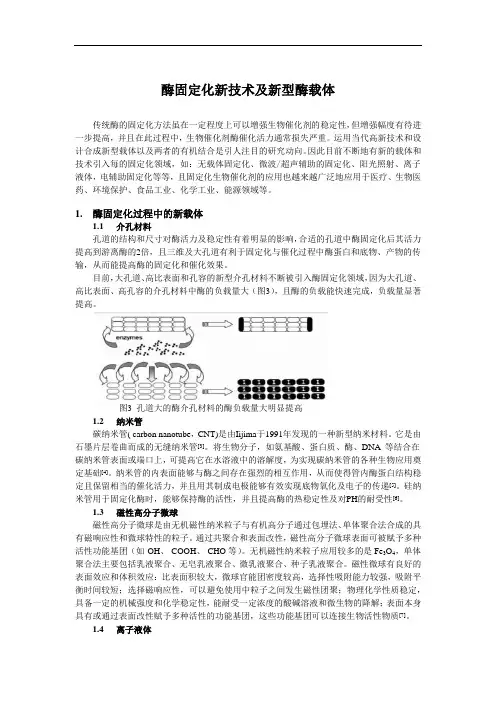 酶固定化新技术及新型酶载体