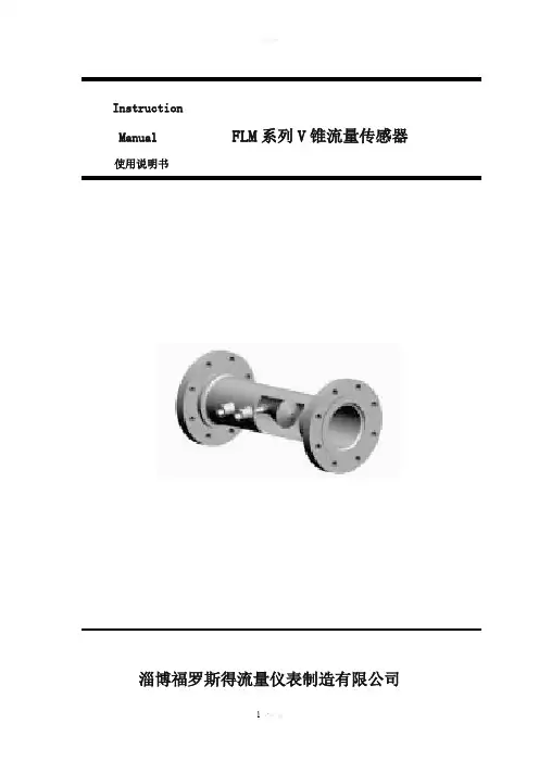 V锥流量计说明书