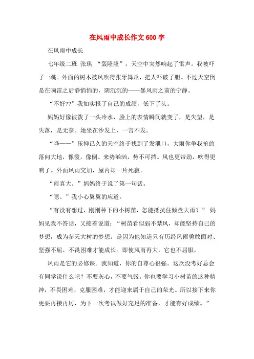在风雨中成长作文600字