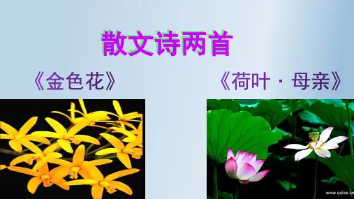 散文诗两首:《金色花》