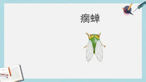五年级语文下册第12课瘸蝉课件冀教版