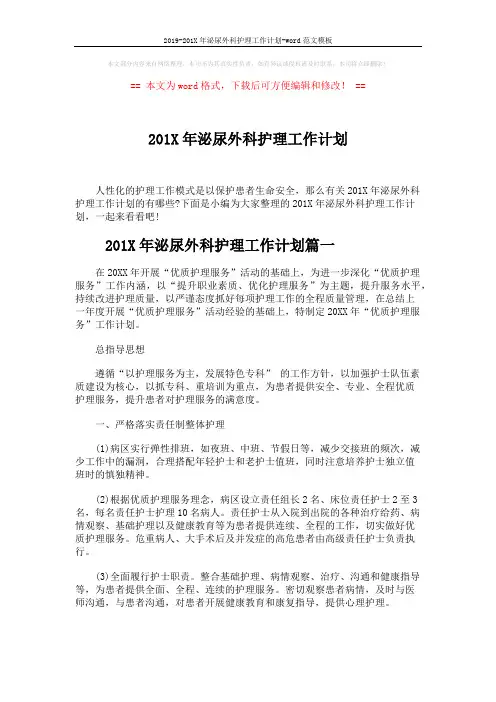 2019-201X年泌尿外科护理工作计划-word范文模板 (6页)