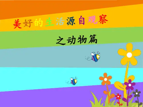 三年级作文-小动物