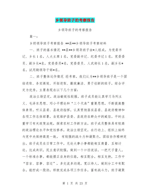 乡领导班子的考察报告