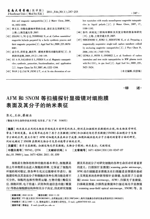 AFM和SNOM等扫描探针显微镜对细胞膜表面及其分子的纳米表征