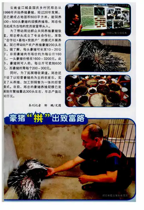 豪猪“拱”出致富路
