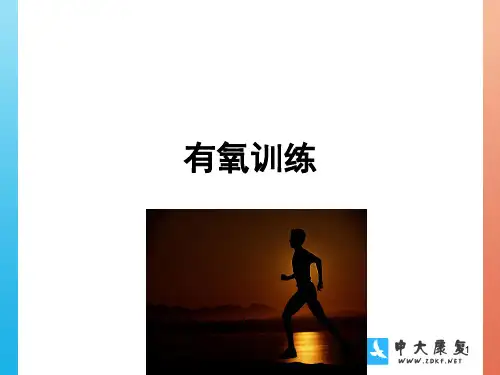 有氧训练