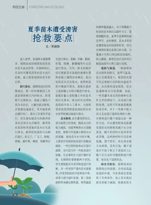 夏季苗木遭受涝害抢救要点