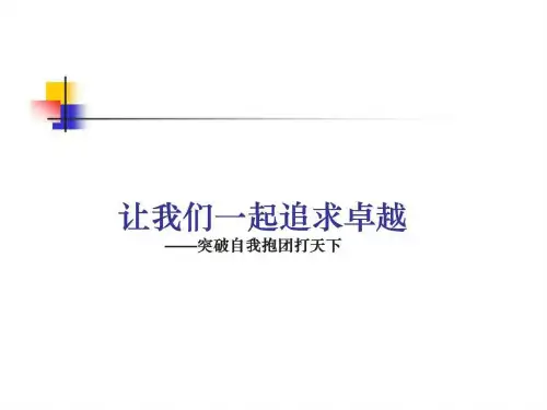 让我们一起追求卓越---团队的7因素理论与实践