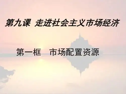 9.1市场配置资源