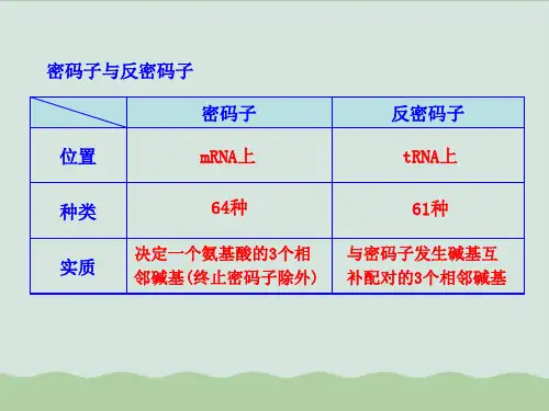 密码子与反密码子PPT课件全解
