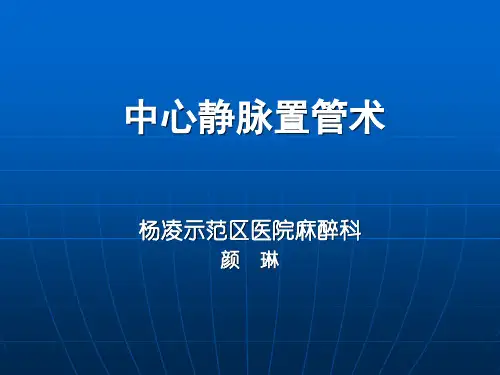 深静脉穿刺置管术 颜琳