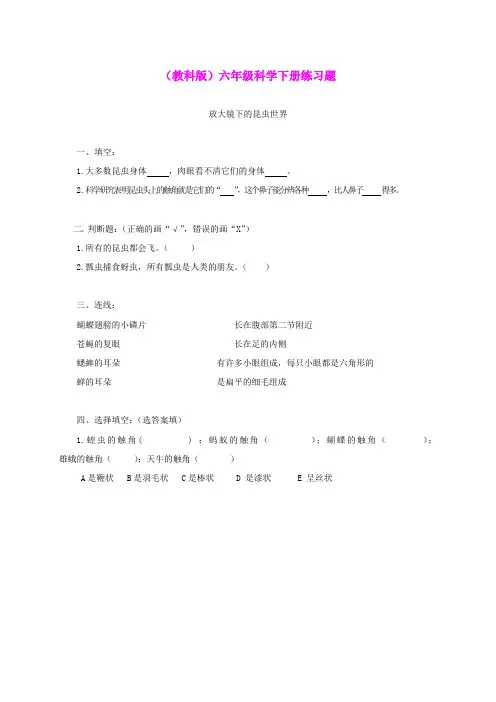 六年级科学下册 放大镜下的昆虫世界1练习题 教科版 (2)
