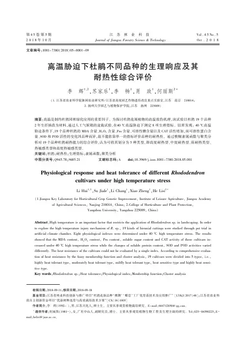 高温胁迫下杜鹃不同品种的生理响应及其耐热性综合评价