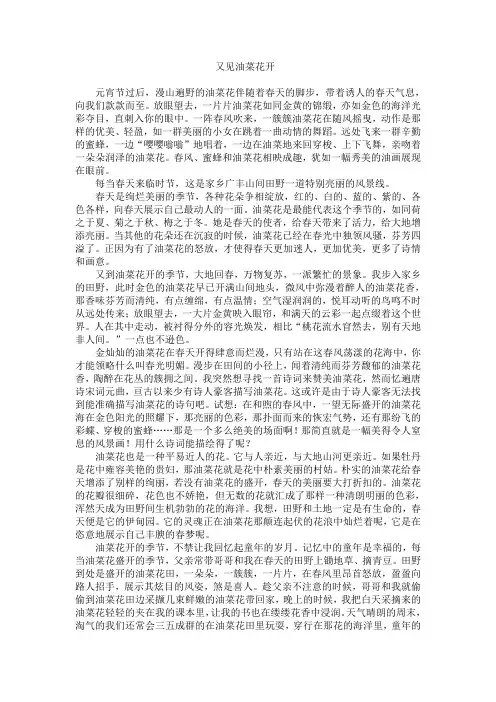 又见油菜花开