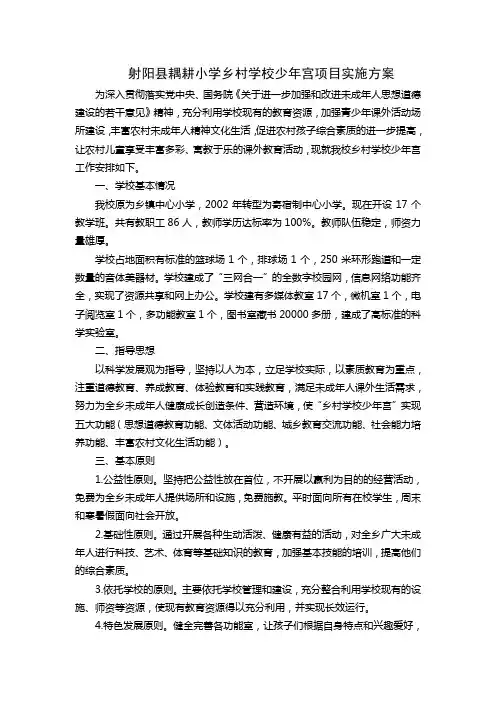 耦耕小学乡村学校少年宫方案