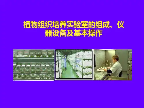 植物组织培养实验室的组成仪器设备及基本操作