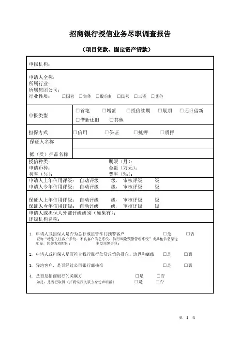 项目贷款固定资产贷款尽职调查报告