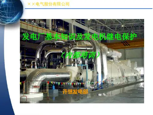 许继发电厂基本知识及发电机继电保护介绍