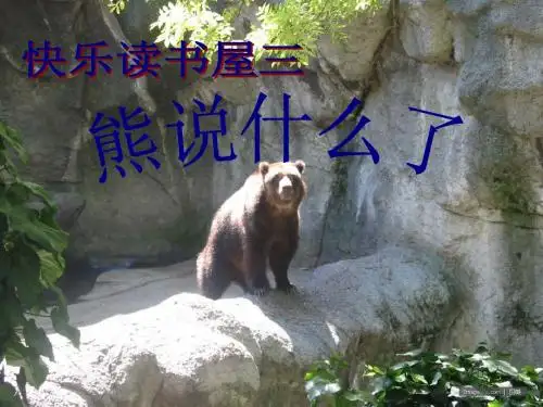 (教科版)二年级语文上册课件 熊说什么了