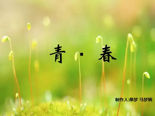 青春ppt
