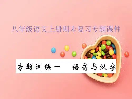 《人教部编版八年级上学期》语文全套期末复习专题课件