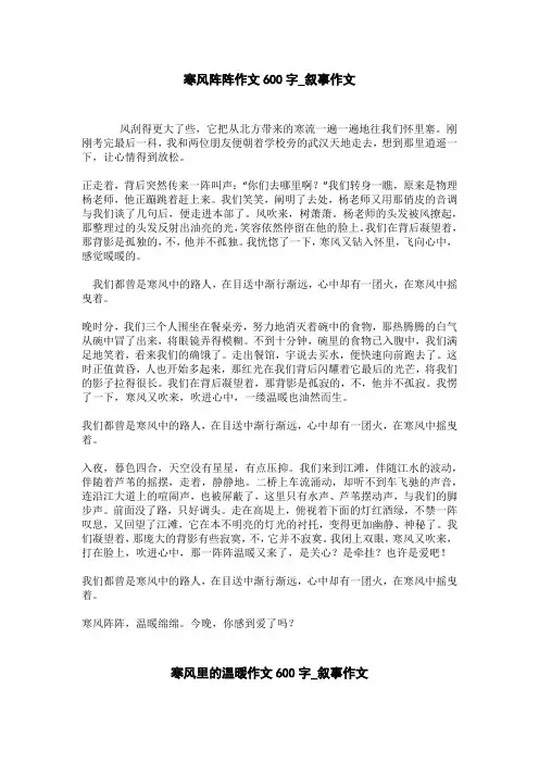 寒风里的温暖作文600字_叙事作文