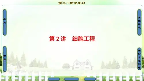 2018届高三生物(人教版)一轮复习课件选修3第2讲细胞工程